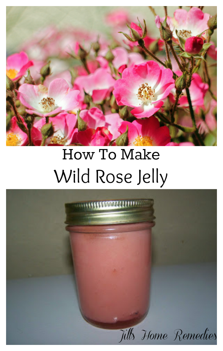 How To Make Wild Rose Jelly | Jills Home Remedies | Learn how to make wild rose jelly with this easy recipe!