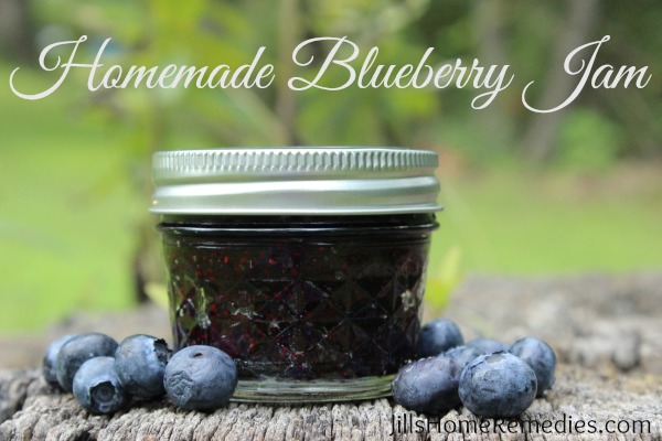 Homemade Blueberry Chia Jam