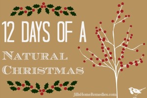 Natural Christmas3