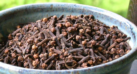 Cloves (1)