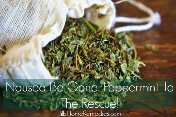 Nausea Be Gone: Peppermint To The Rescue!