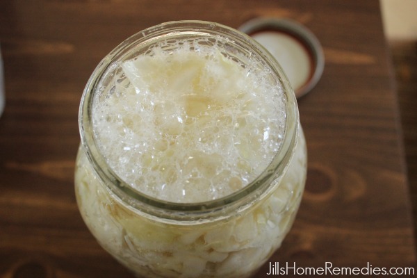 How To Make Easy Sauerkraut In A Mason Jar | Jills Home Remedies | Learn how to easily make sauerkraut in a mason jar! Homemade sauerkraut is full of probiotics and is healing for the entire body!