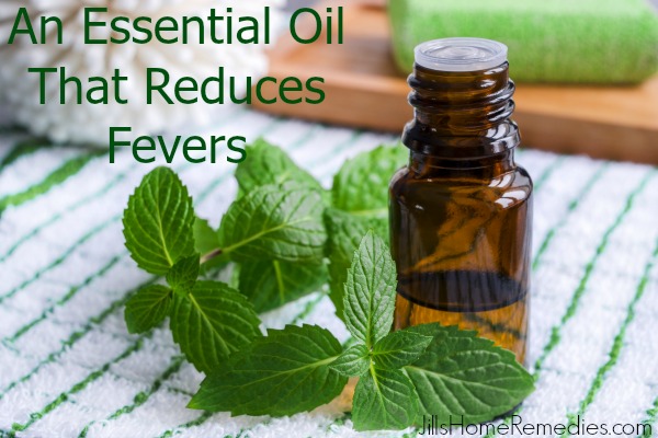 Do you know there are remedies that are far safer than over the counter fever reducers? Read how simple it is to use an essential oil that reduces fevers!