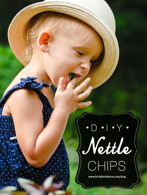 DIY Nettle Chips