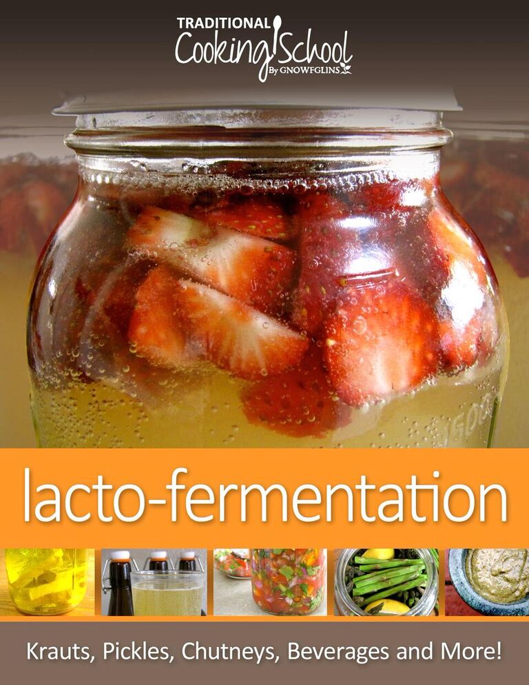 lacto fermentation
