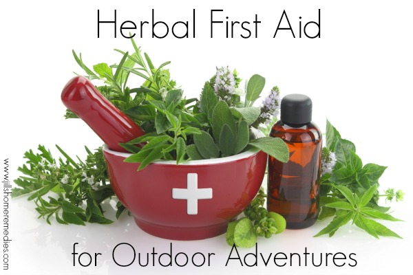 Herbal First Aid for Outdoor Adventures