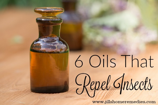 6 Oils That Repel Insects