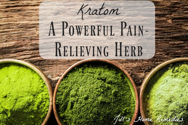 Kratom: A Powerful Pain-Relieving Herb