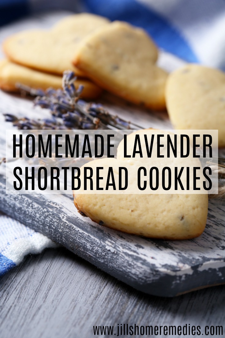 Check out these homemade lavender shortbread cookies with not a lot of sugar and a hint of lavender flowers!