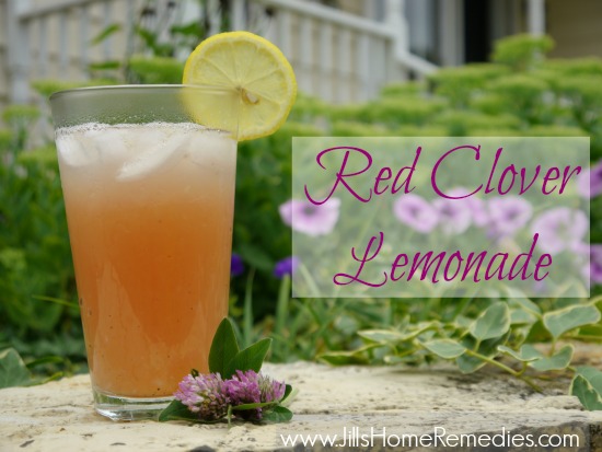 How To Make Red Clover Lemonade