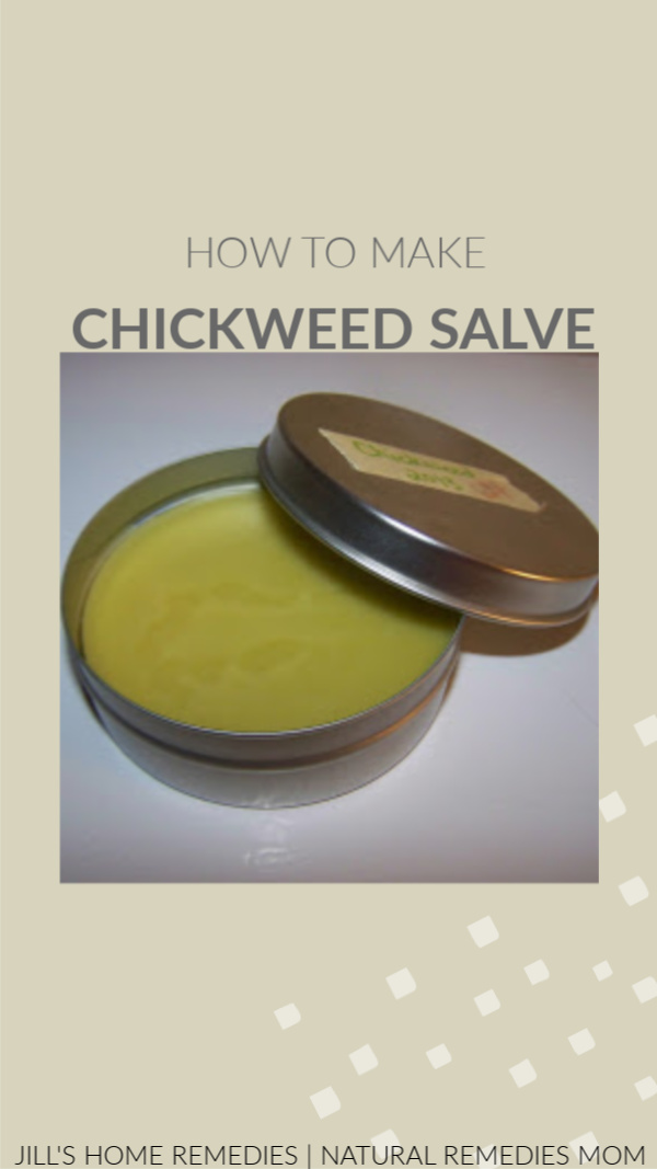 How To Make Chickweed Salve