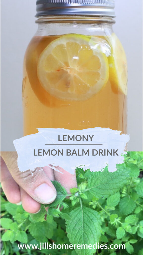 This lemony lemon balm drink is absolutely refreshing and delicious on a hot, humid day! 