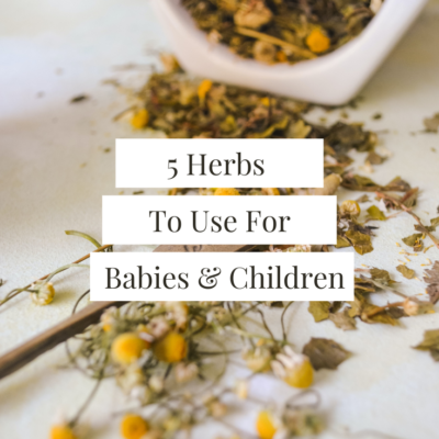 5 Herbs To Use For Babies and Children
