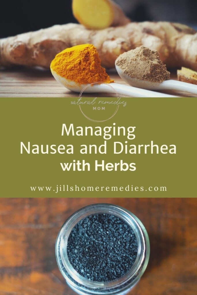 Managing Nausea and Diarrhea with Herbs Natural Remedies Mom